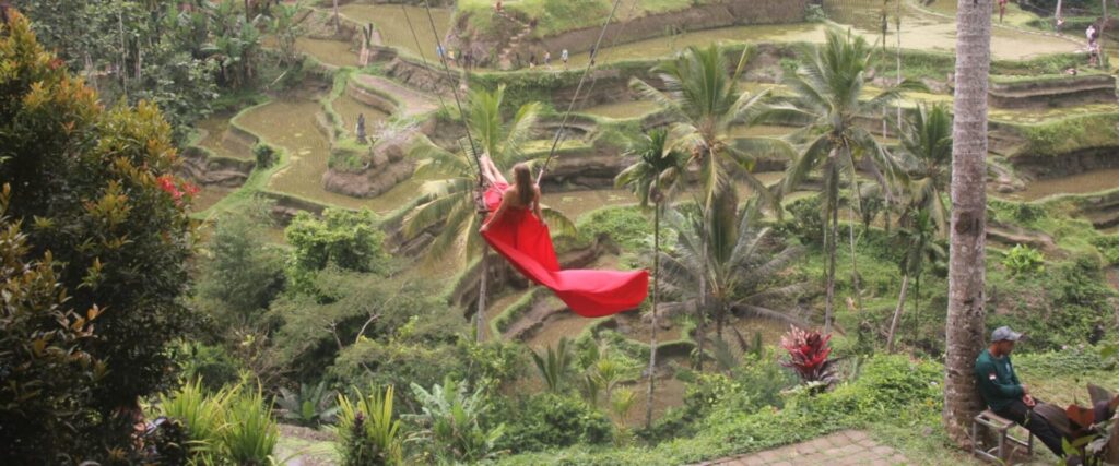 Tegalalang rice terrace