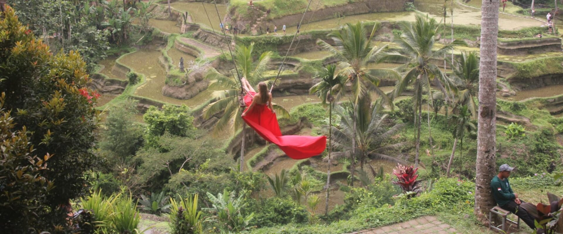 Tegalalang rice terrace